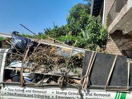 Best Shed Removal  in Bluffton, SC